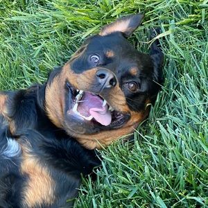 Meet your Posher, Gena